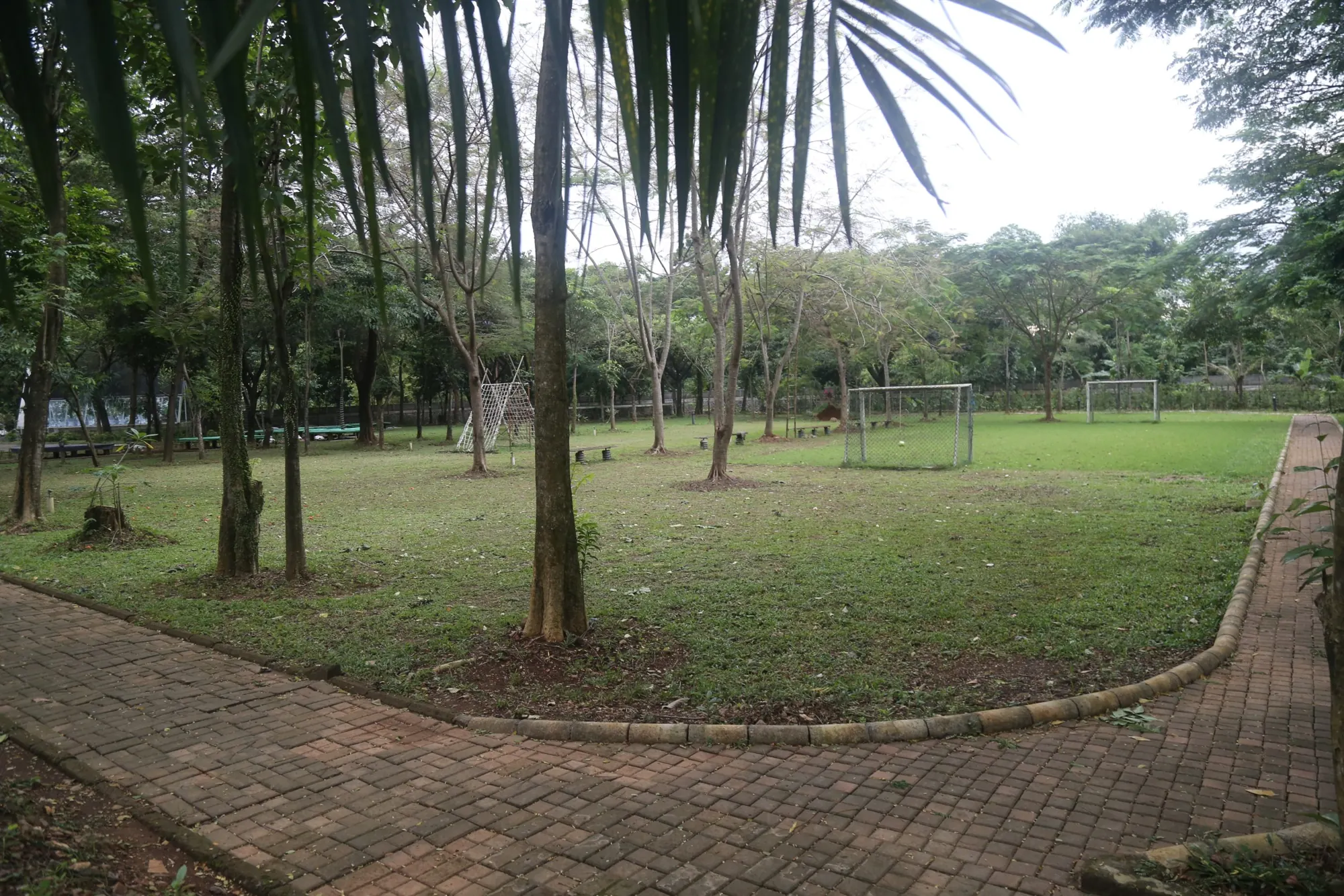 Lapangan mini soccer berumput di bawah pepohonan